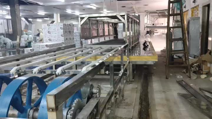 Sitio de instalación del congelador del túnel del cinturón de la placa en Guangxi Zhongyi Factory