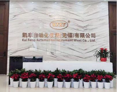 wuxi kaifeng pressure gauge co., ltd