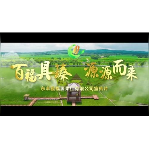 Dongfeng County Fuyuan Nut Co., Ltd.