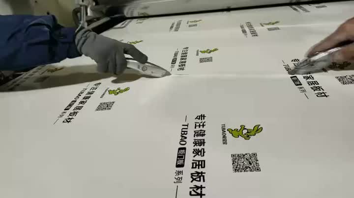 वीडियो_1765243917