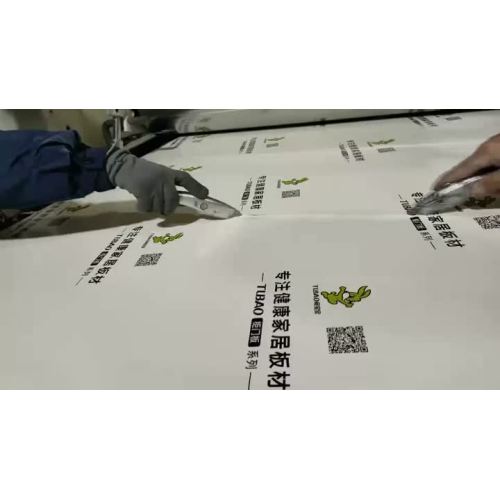 वीडियो_1765243917