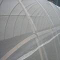 High-Quality Plastic Mesh Greenhouse Insect Netting Manufacturer1