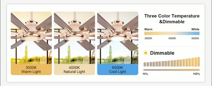 Роскошный 60-дюймовый потолочный вентилятор со светом