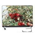 10.1 Inch B101EAN02.0 MIPI LCD Display Panel with 800*1280 Screen Resolution1