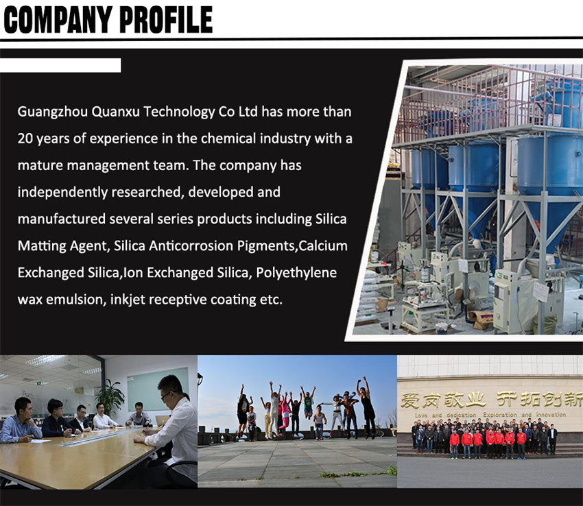 Company Profile