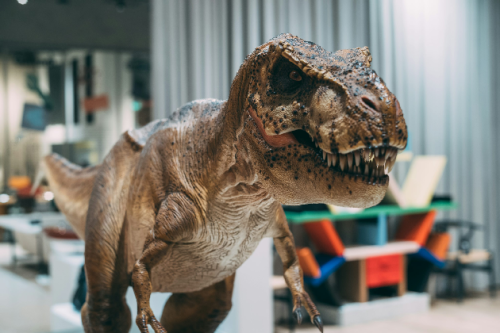 Ready to Roar? Transform Your Halloween with T-Rex Costumes!