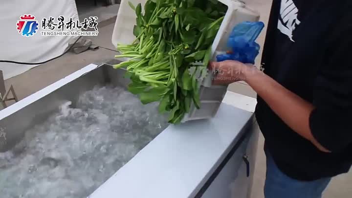 Máquina de limpeza de vegetais comercial e industrial TS-X300