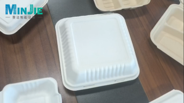 Molded fiber lock box