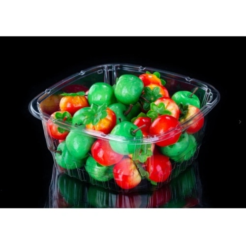 Tub Packaging Solutions: Fresh Perspectives in the Fruit Packaging Industry