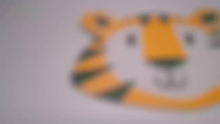 Coaster di sughero a forma di tigre