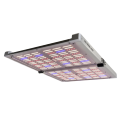 Quantum LED Board 480W Full Spectrum IR Grow Light1