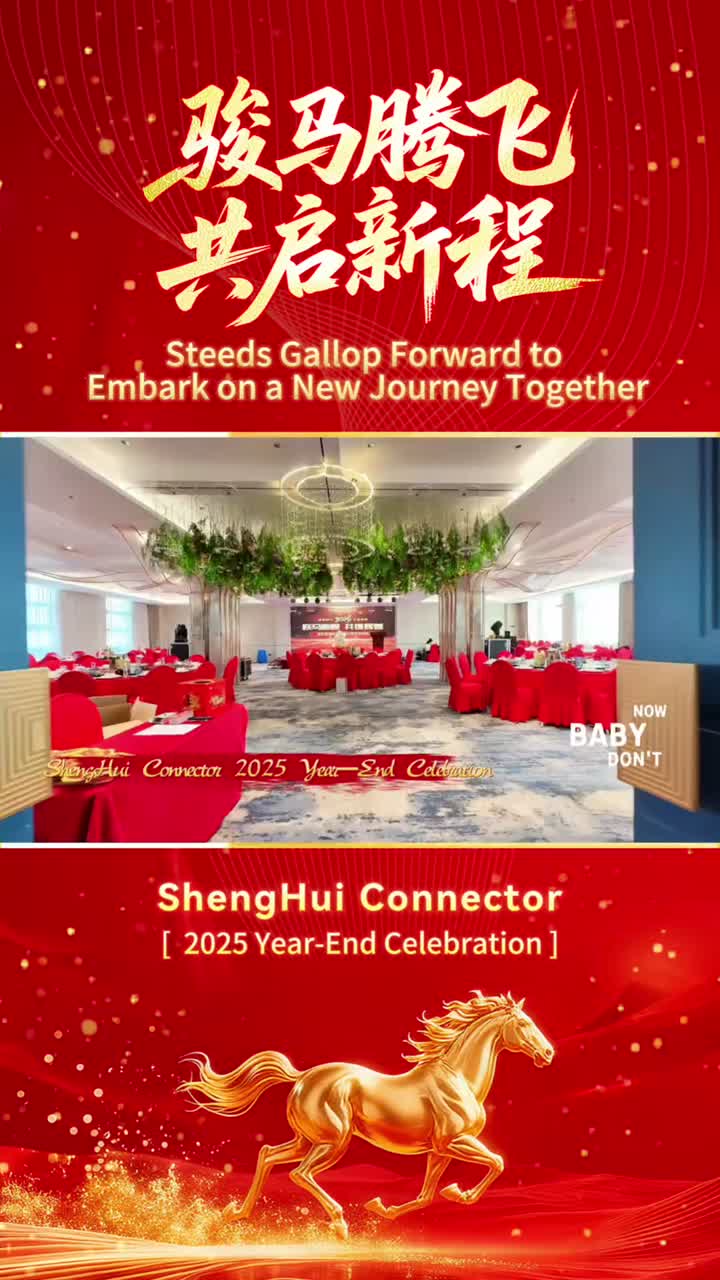 Celebração de fim de ano de 2025