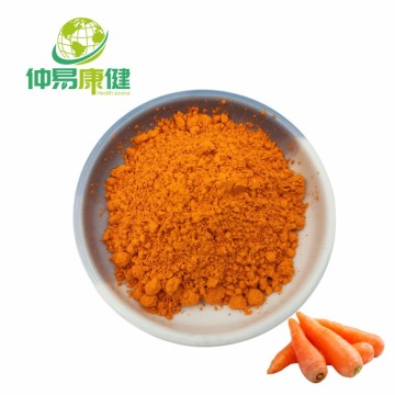 China Top 10 Natural Vegetable Powder Carrot Powder Brands