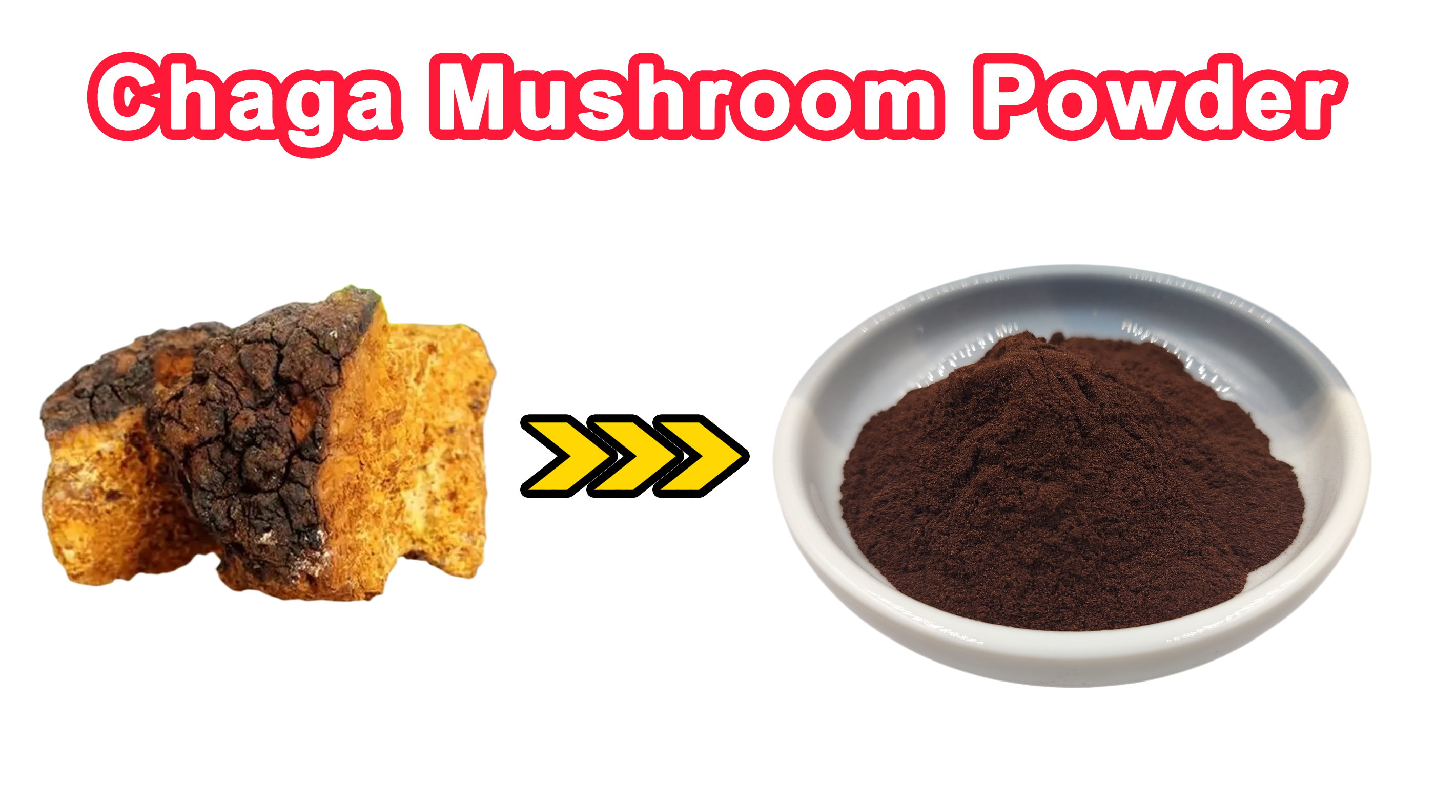 Chaga -Pilzpulver