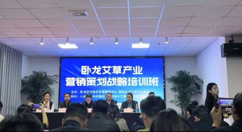 Wolong Wormwood ipari marketingtervezési stratégia képzés
