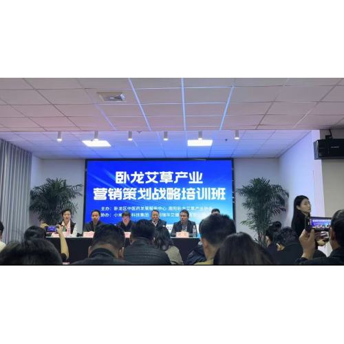 Wolong Wormwood ipari marketingtervezési stratégia képzés