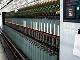 ZhangJiaGang Prancy Dragon Textile Co.,Ltd.