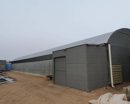 Грунтуючыся на даверы, катарскія кліенты аб'ядноўваюцца з Qingcheng Agriculture, каб пабудаваць зялёную мару ў цяпліцах