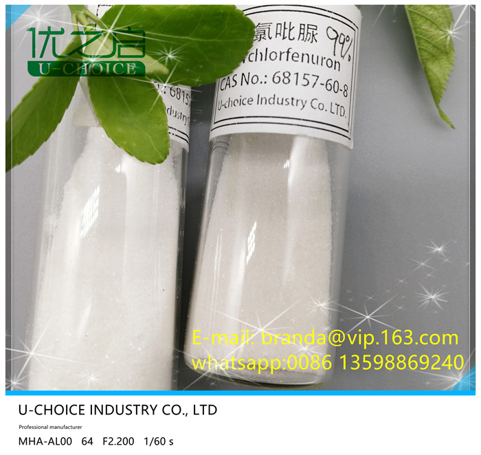 วิดีโอคริสตัล CPPU