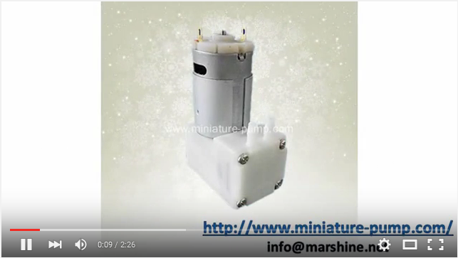 Micro Vacuum Pump