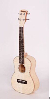 Pleasant Music Instrument Co., Limited