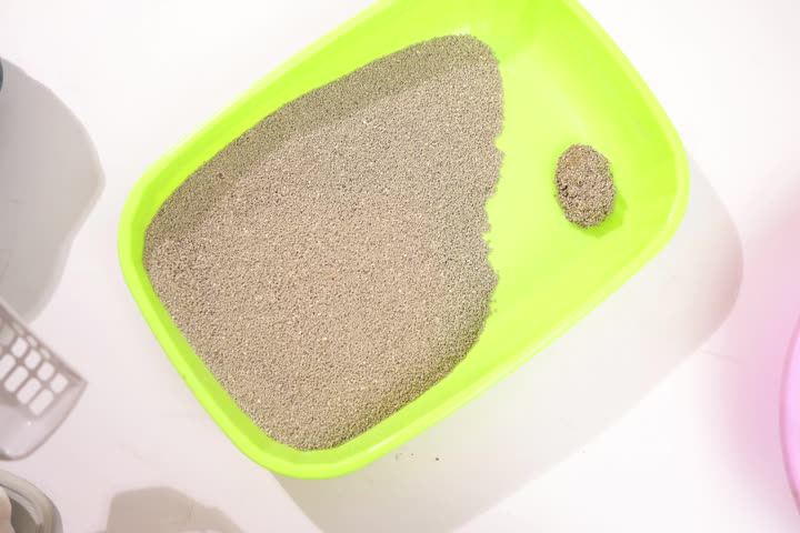 চূর্ণ Bentonite বিড়াল লিটার