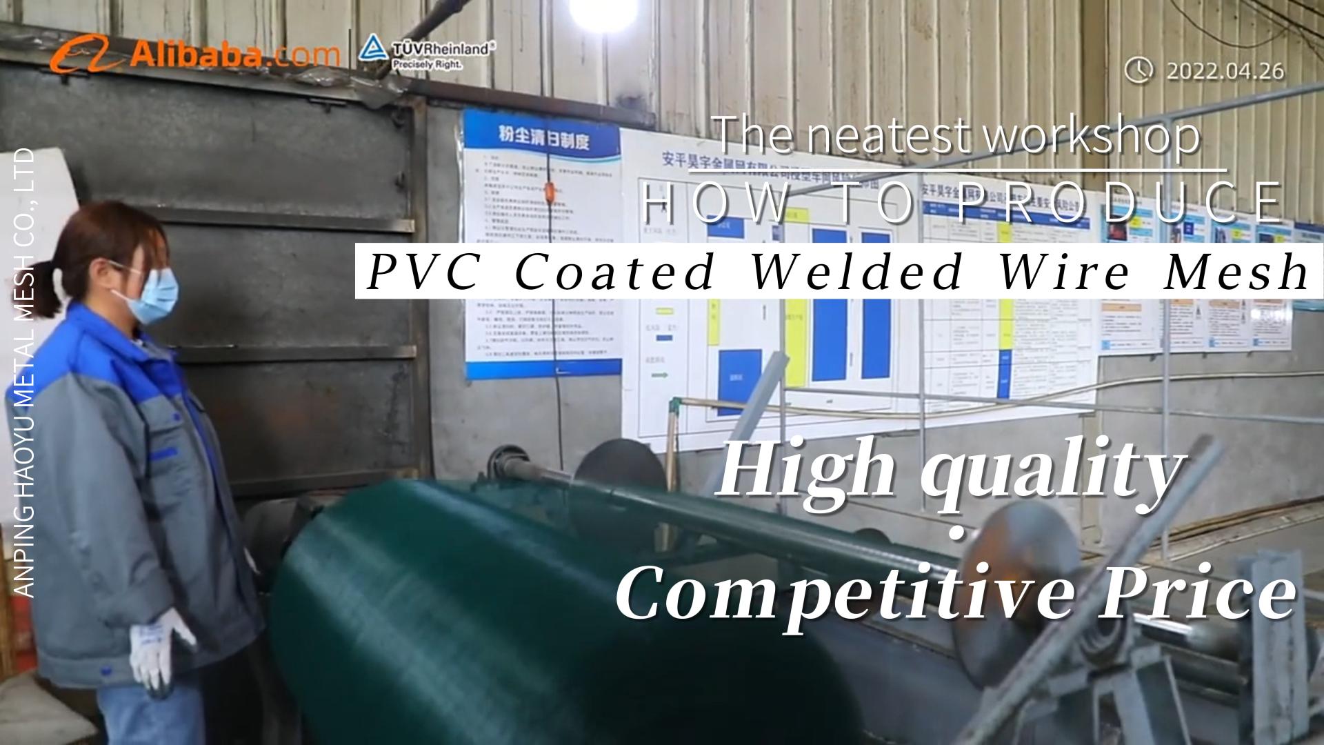 1/2" x 1/2" PVC Coated Welded Wire Mesh Manufacturer From Anping For  animal cages and enclosures1