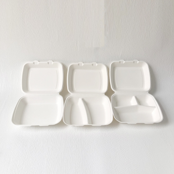 Bagasse pulp clamshell
