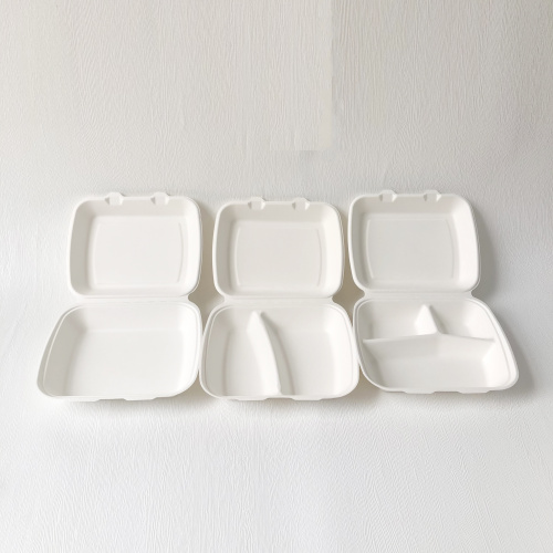 Bagasse pulp clamshell