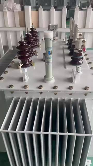 S13-M-2500-10 Hermetically Sealed Distribution Transformer 2