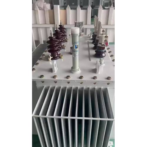 S13-M-2500-10 Transformador de distribución sellado herméticamente 2