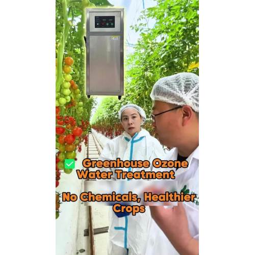 Système d'ozone pour l'irrigation agricole et les serres - Traitement de l'eau sans produits chimiques