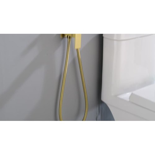 16028Bg Toiletten Bidet Spray für Badezimmer