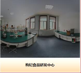 Ningxia Wolfberry Goji Industry Co.,ltd