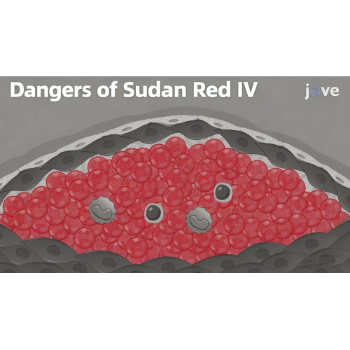 Sudan Red IV Discovery Raises New Focus on Cosmetic Ingredient Safety