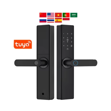 Lock di porta intelligente multilingue: proteggere la tua casa in qualsiasi lingua