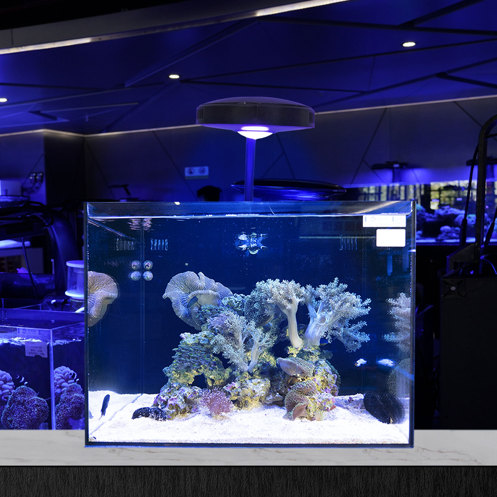 Marine Aquariumlampe