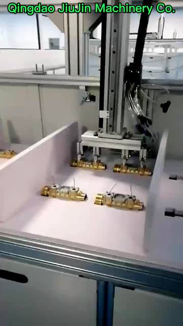 4. Heavy Load Type Gantry Robot