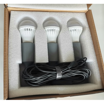 List of Top 10 Usb Bulb Light Brands Popular in European and American Countries