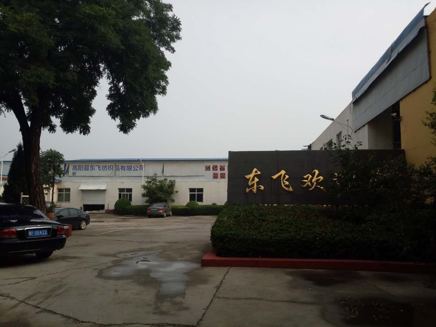 Gaoyang Dongfei Textiles Co., LTD.