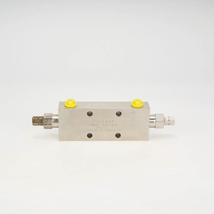 25160AF Hidrolik Çift Yönlü Plakalı Denge Vanası