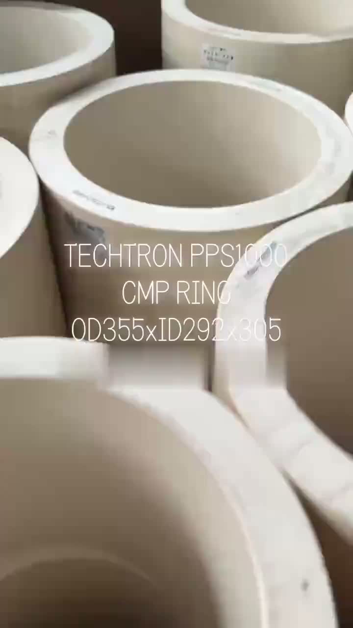 Techtron PPS 1000 CMP Ring