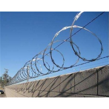 Ten Chinese Galvanized Razor Wire Suppliers Popular in European and American Countries