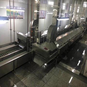 Ten Chinese Automatic Blanching Machine Suppliers Popular in European and American Countries