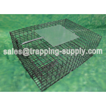 China Top 10 Galvanized Sparrow Cage Trap Brands