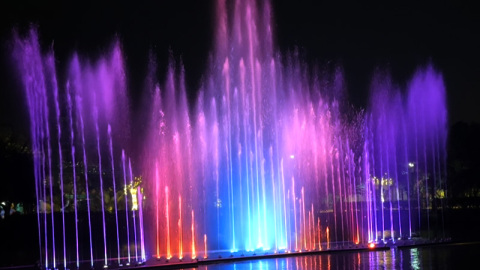 ہا نوئی ، ویتنام کیس