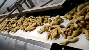 AIR DRIED GINGER JINING FUYUAN FRUITS AND VEGETABLES CO ,LTD