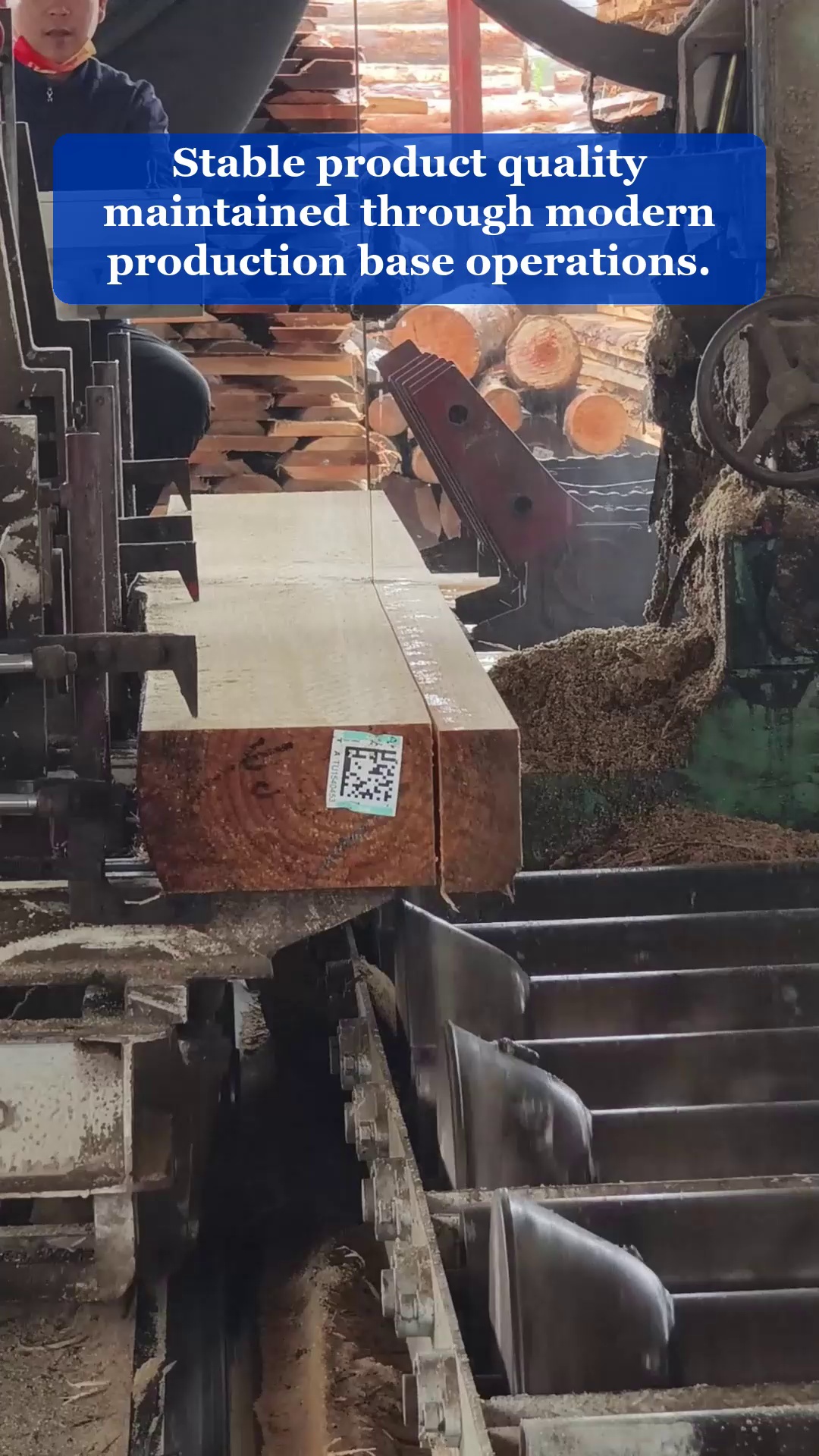 Video 25