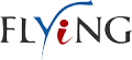 Flying Electronic Co., Ltd
