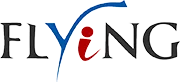 Flying Electronic Co., Ltd